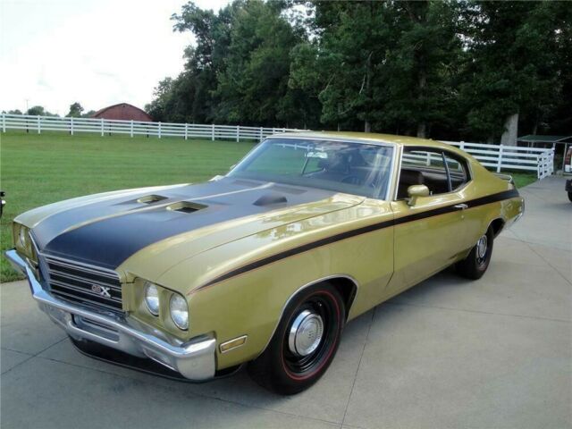 Buick GSX 1971 image number 0