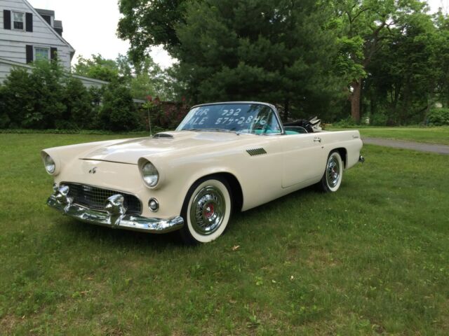 Ford Thunderbird 1955 image number 8