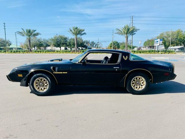 Pontiac Firebird 1979 image number 14