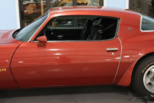 Pontiac Trans AM 1976 image number 12