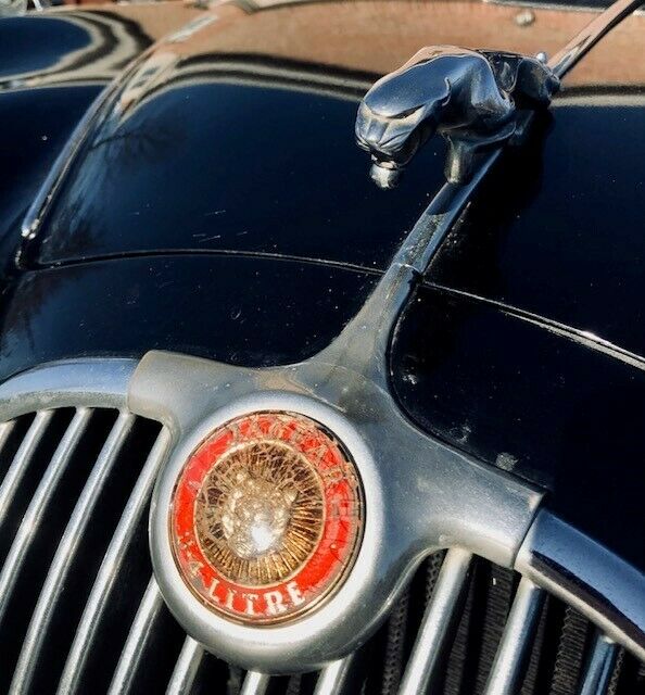 Jaguar XK 1959 image number 1