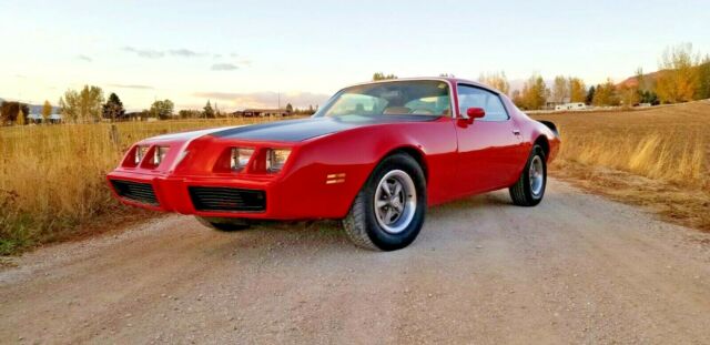 Pontiac Firebird 1979 image number 20