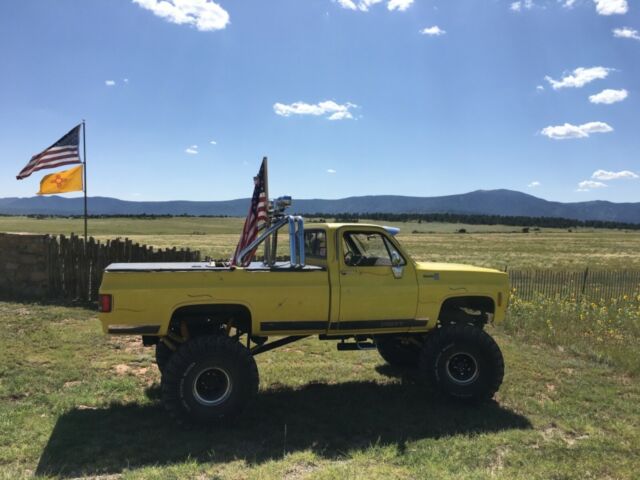 Chevrolet C-10 1979 image number 14