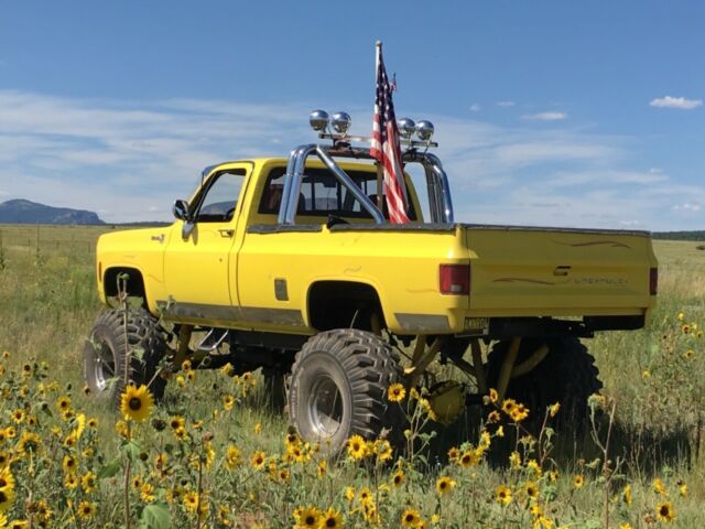 Chevrolet C-10 1979 image number 27