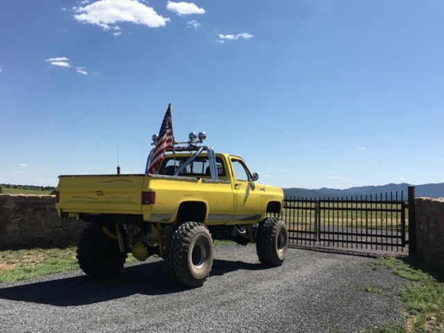 Chevrolet C-10 1979 image number 37