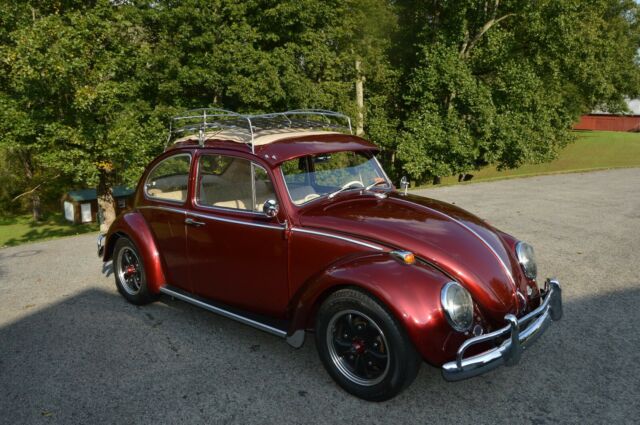 Volkswagen Beetle - Classic 1966 image number 2