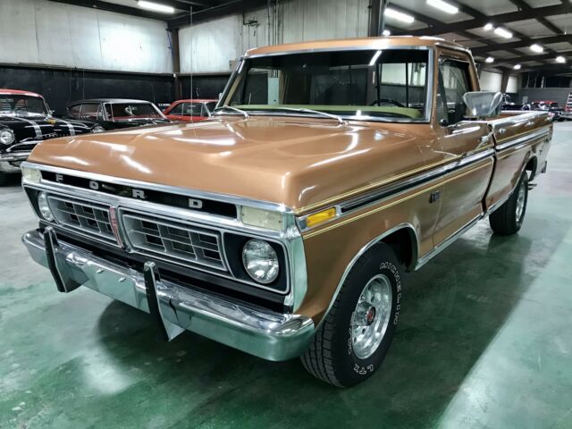 Ford F-100 1976 image number 0