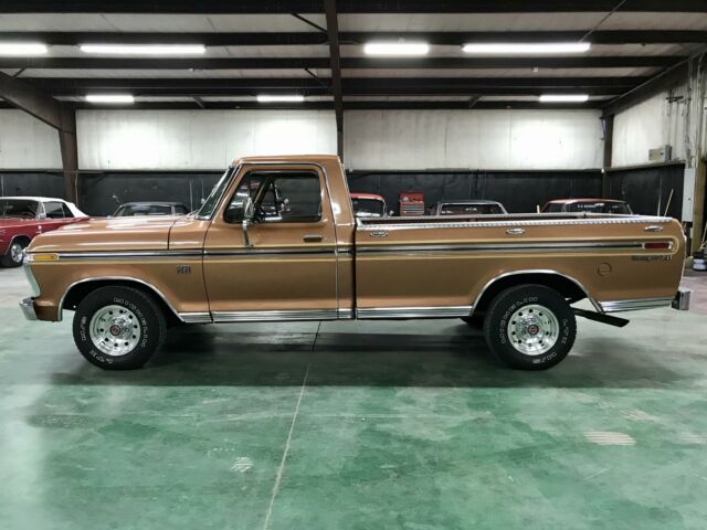 Ford F-100 1976 image number 1