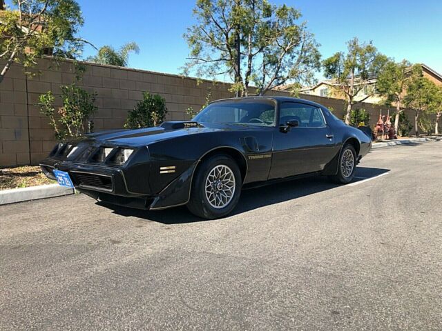 Pontiac Trans Am 1979 image number 0