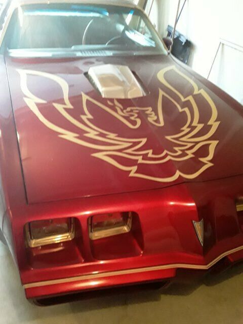 Pontiac Trans Am 1979 image number 17