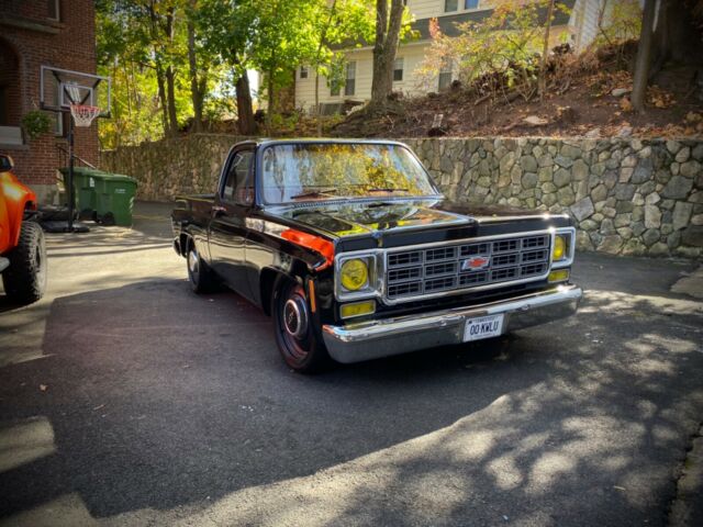 Chevrolet C-10 1979 image number 9