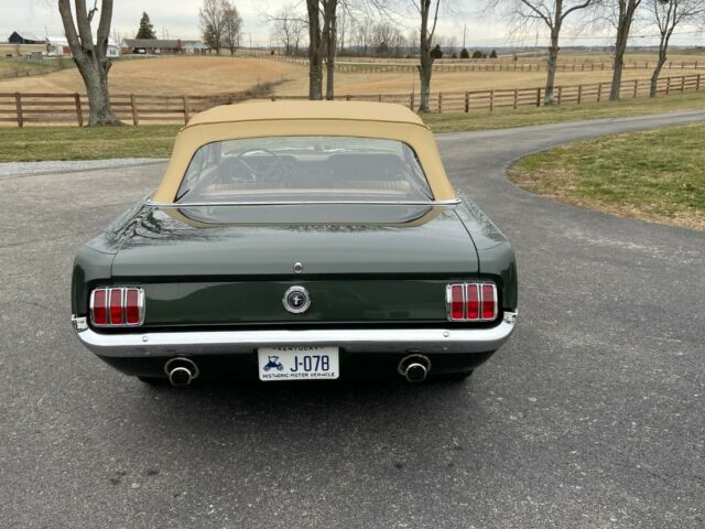 Ford Mustang 1965 image number 14