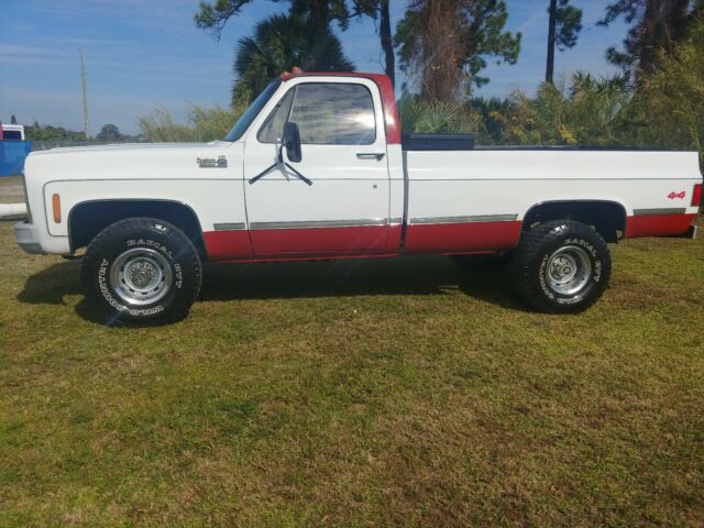 Chevrolet C/K Pickup 1500 1979 image number 2