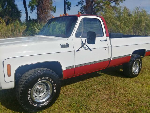 Chevrolet C/K Pickup 1500 1979 image number 23