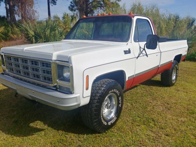 Chevrolet C/K Pickup 1500 1979 image number 24