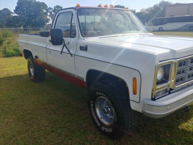 Chevrolet C/K Pickup 1500 1979 image number 29