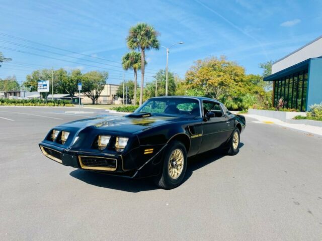 Pontiac Firebird 1979 image number 12