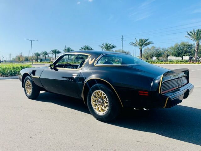 Pontiac Firebird 1979 image number 15