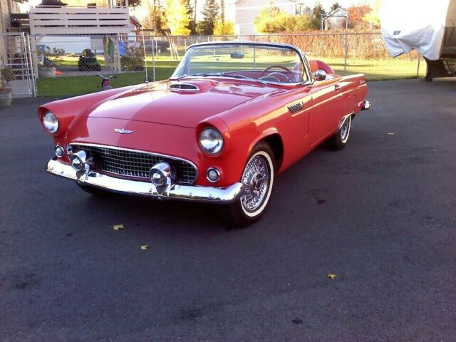 Ford Thunderbird 1956 image number 1