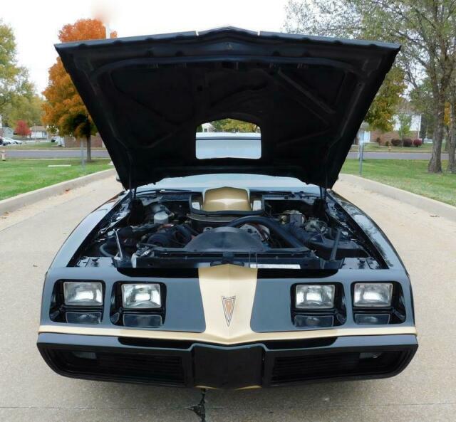 Pontiac Trans Am 1979 image number 8