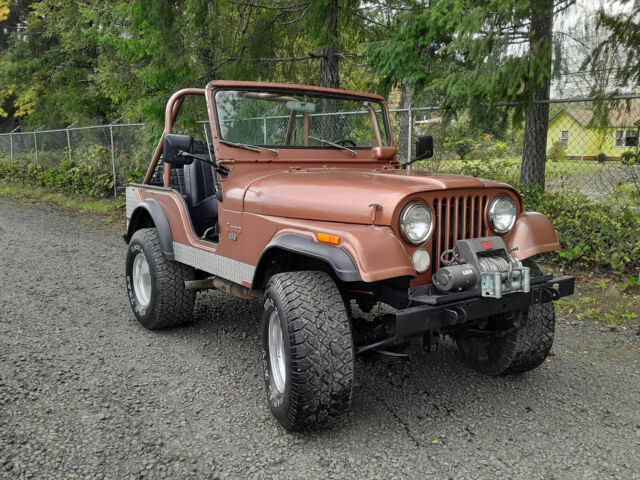 Jeep CJ 1974 image number 0