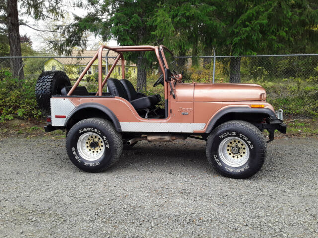 Jeep CJ 1974 image number 1