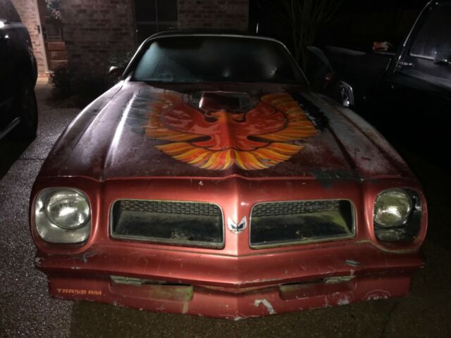 Pontiac Trans Am 1976 image number 12