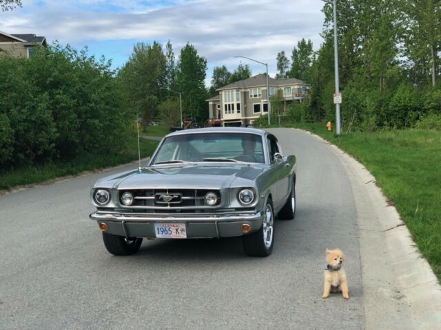 Ford Mustang 1965 image number 33