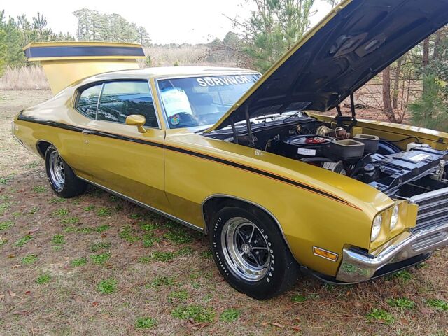 Buick GSX 1971 image number 2