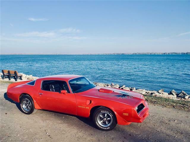 Pontiac Trans Am 1978 image number 26