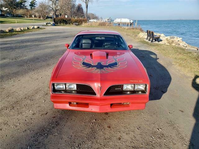 Pontiac Trans Am 1978 image number 36