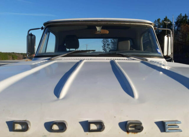 Dodge D100 1968 image number 31