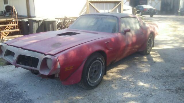 Pontiac Trans Am 1975 image number 10