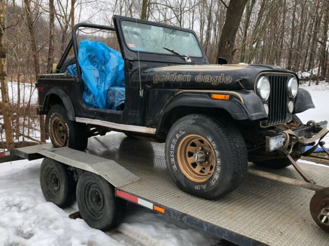 Jeep CJ 1979 image number 2