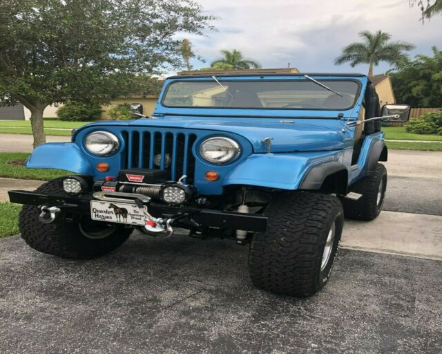 Jeep CJ 1964 image number 1