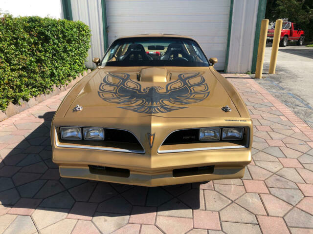 Pontiac Trans Am 1978 image number 1