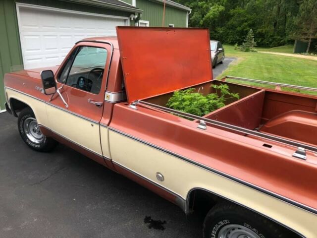 Chevrolet C/K Pickup 1500 1978 image number 22