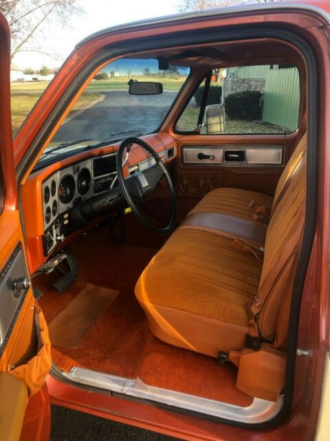 Chevrolet C/K Pickup 1500 1978 image number 33