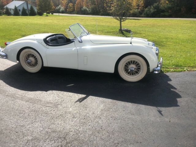 Jaguar XK 1955 image number 0