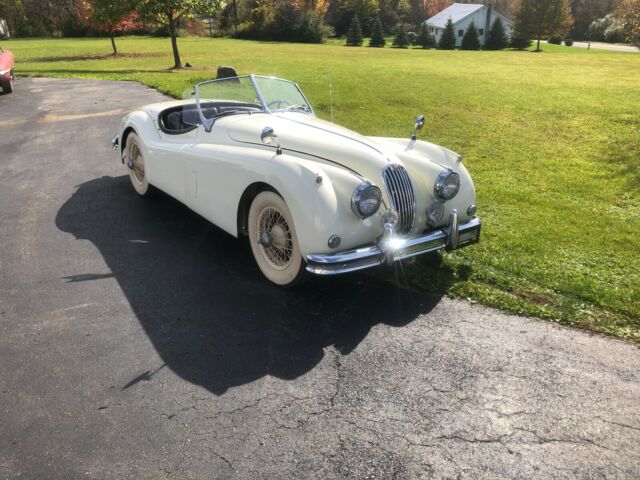 Jaguar XK 1955 image number 1