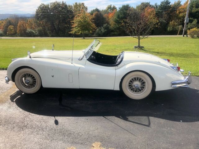 Jaguar XK 1955 image number 11