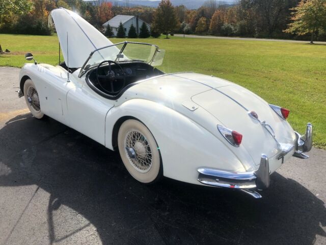 Jaguar XK 1955 image number 12