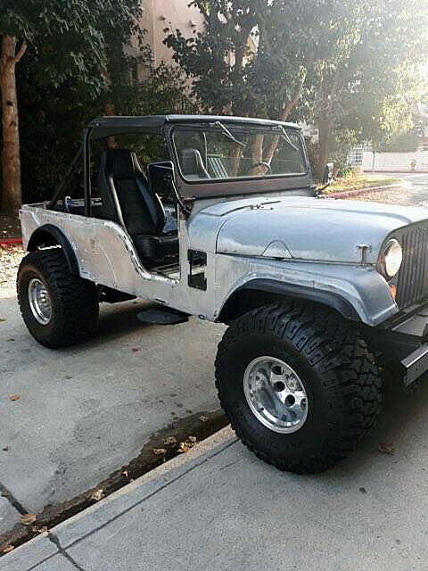 Jeep CJ 1963 image number 1