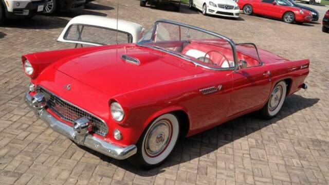 Ford Thunderbird 1955 image number 30