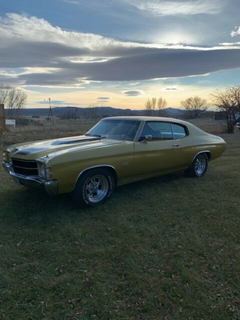 Chevrolet Chevelle 1971 image number 9