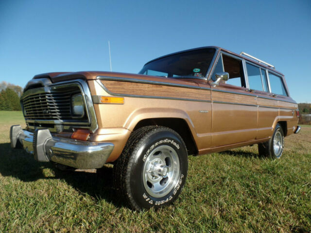 Jeep Wagoneer 1979 image number 19