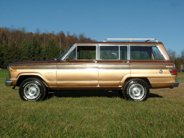 Jeep Wagoneer 1979 image number 20