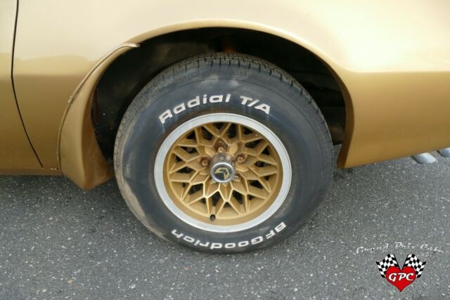 Pontiac Trans Am 1978 image number 41