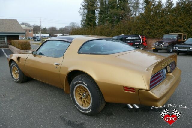 Pontiac Trans Am 1978 image number 8