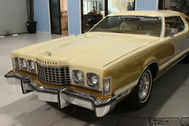 Ford Thunderbird 1976 image number 32